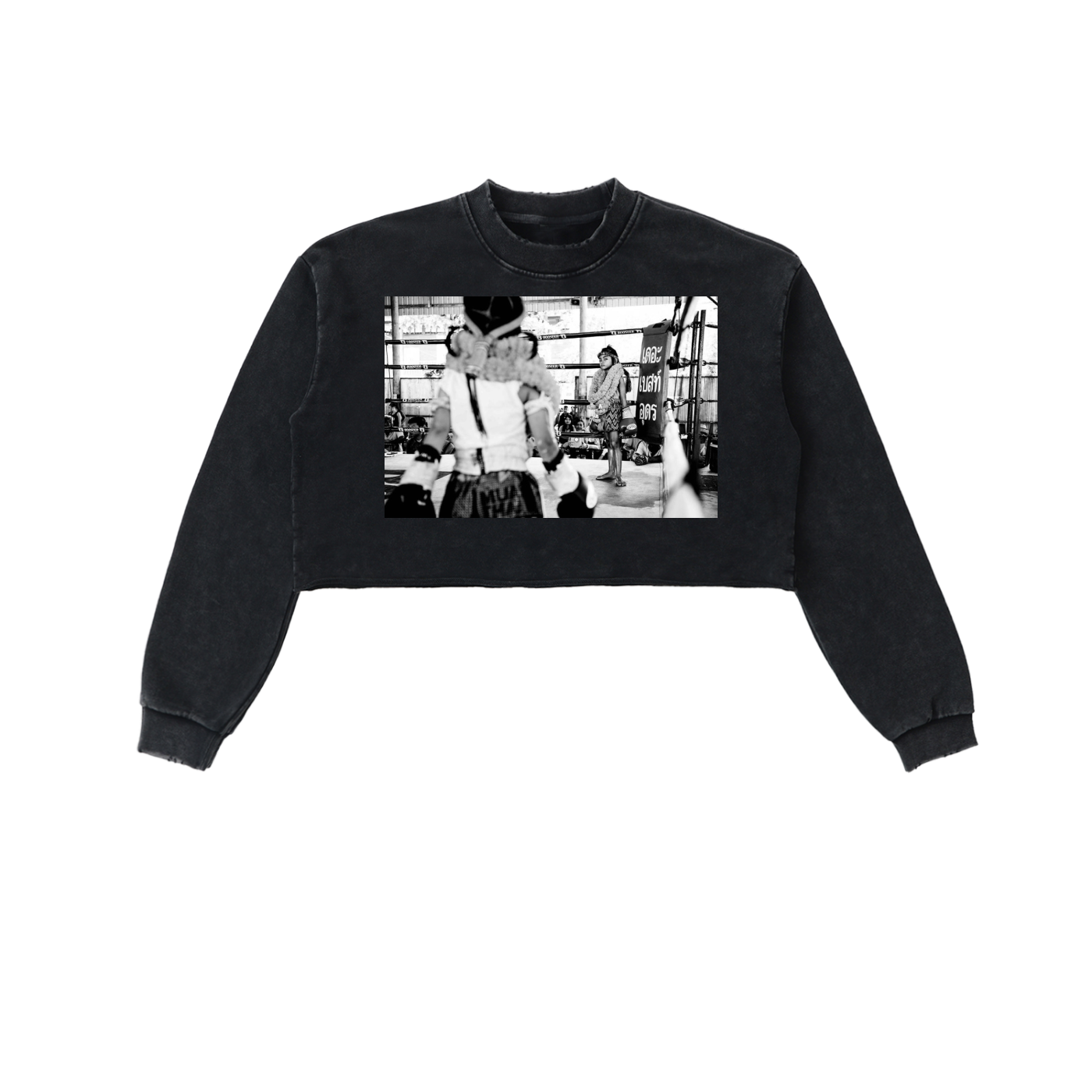 Snow Washed Raw Edge Cropped Sweatshirt
