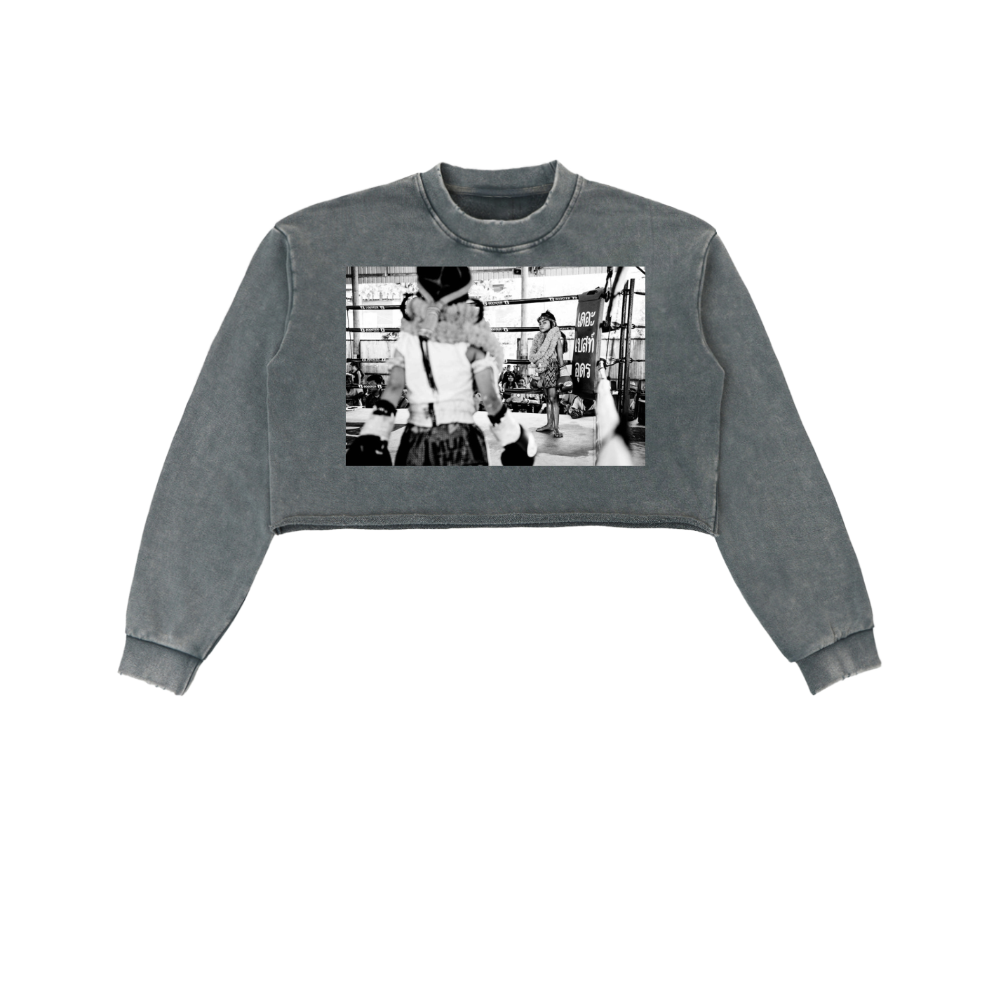 Snow Washed Raw Edge Cropped Sweatshirt