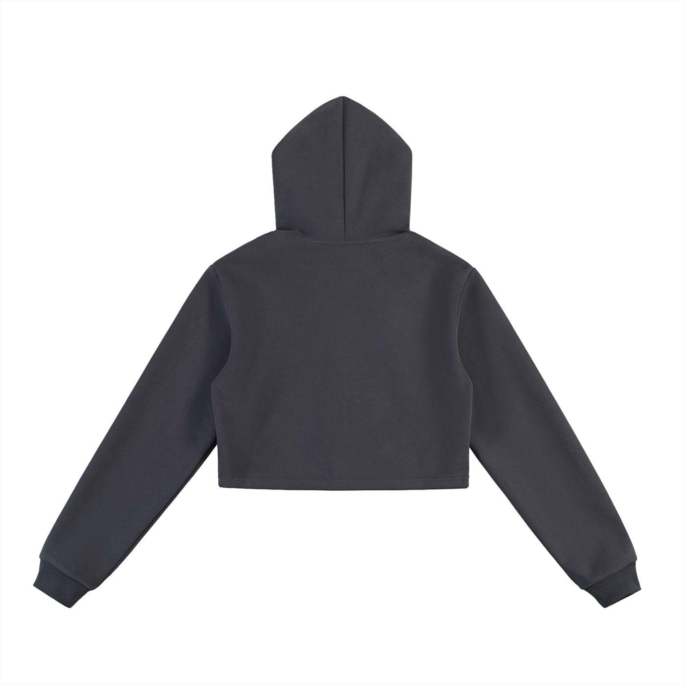 W Fundamental Cropped Zip Hoodie